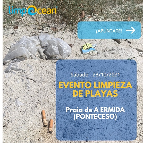 Limpeza Praia de A Ermida